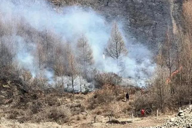 明火已撲滅,初步判斷由祭祀用火引發!今年已發生多起